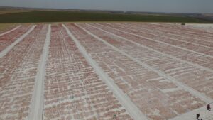 Güneydoğu’nun domatesleri kavurucu sıcaklarda kurutulup 3 kıtada sofraları süslüyor