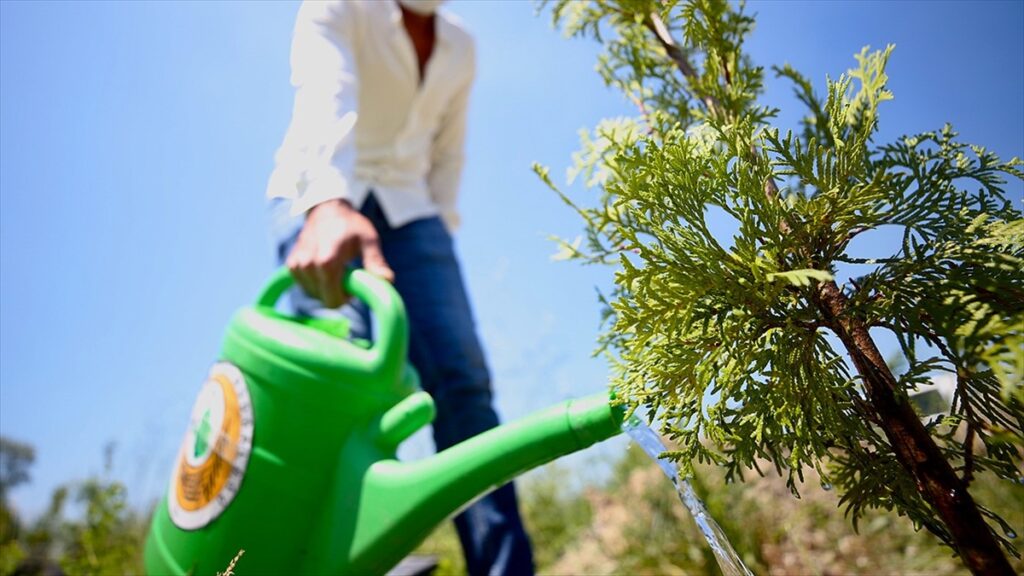 Türkiye’de 2003’ten bu yana 5,4 milyar fidan toprakla buluşturuldu