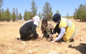 Haliliye Belediyesinden çocuklara anlamlı proje