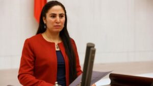 Ayşe Sürücü: Ciddi felakete sebep olabilir