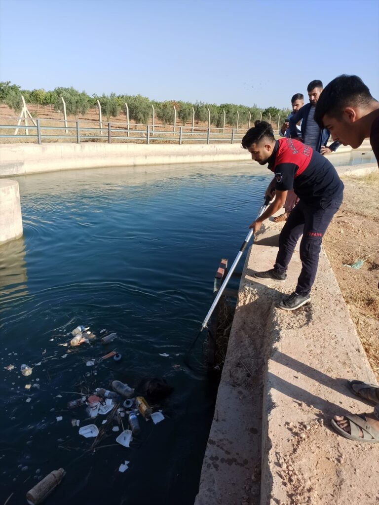 Şanlıurfa’da sulama kanalında düşen köpek kurtarıldı