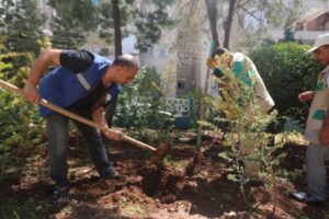 Haliliye’de parklar yenileniyor