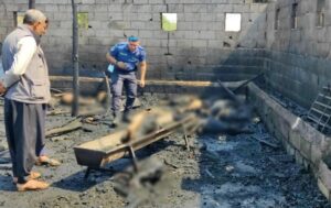 Şanlıurfa’da ahır yangını: 25 küçükbaş hayvan telef oldu