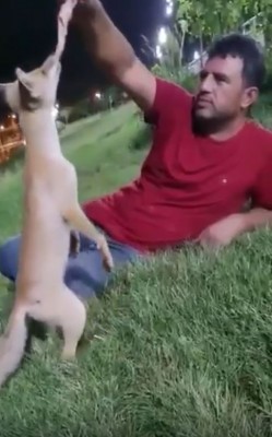 Tilkiyle Şanlıurfalının yüzleri gülümseten dostluğu