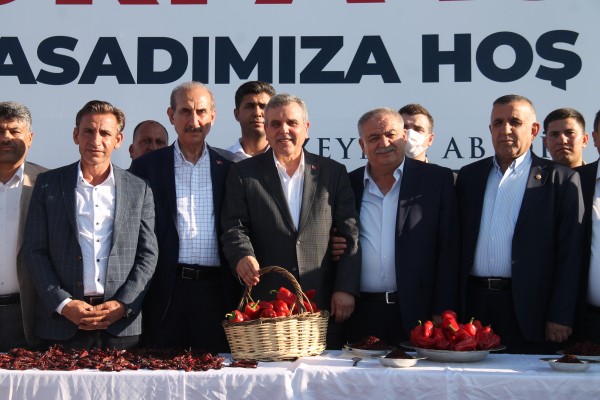 Şanlıurfa’da isot hasadına başlandı