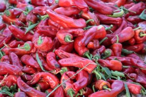 Şanlıurfa’da kırmızı biber hasadı devam ediyor