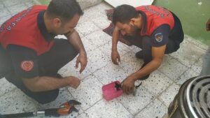 Şanlıurfa’da kafası soba borusuna sıkışan yavru kediyi itfaiye ekipleri kurtardı