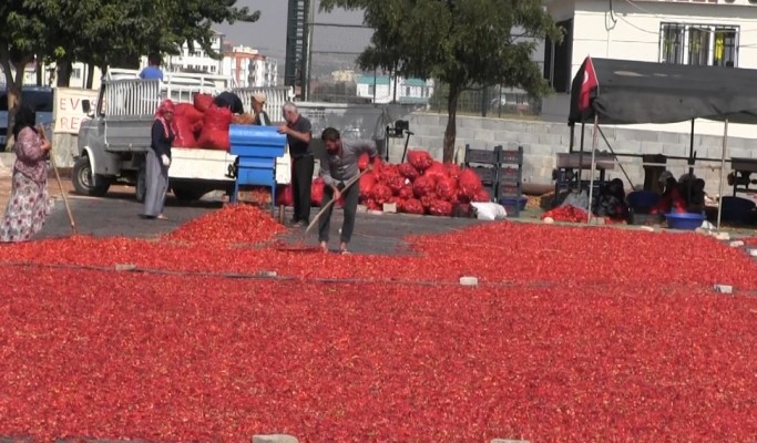 Şanlıurfa’nın ‘acı’ ile imtihanı sürüyor