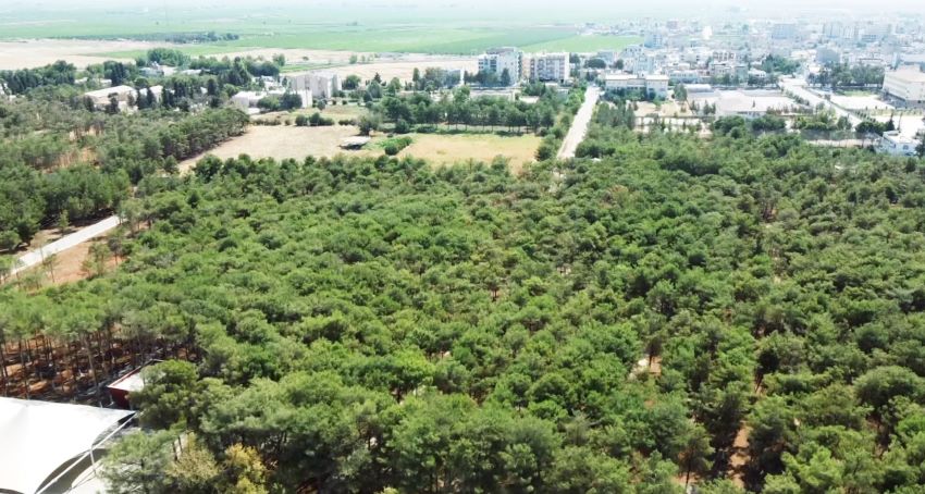 Akçakale kent parkı ve mesire alanı açılışı gün sayıyor