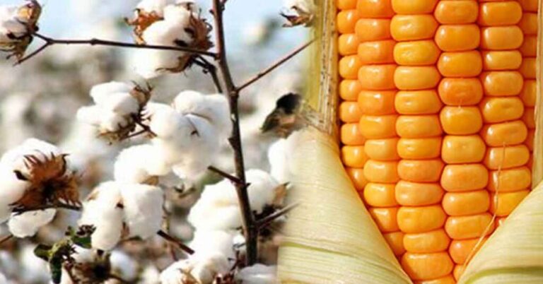 Şanlıurfa’da Borsada işlem gören bazı ürünler ve fiyatları belli oldu