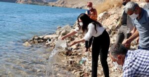 Fırat’a 75 bin adet yavru Şabut bırakıldı
