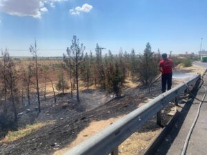 Şanlıurfa’da Otoyol kenarına atılan izmarit yangın çıkardı