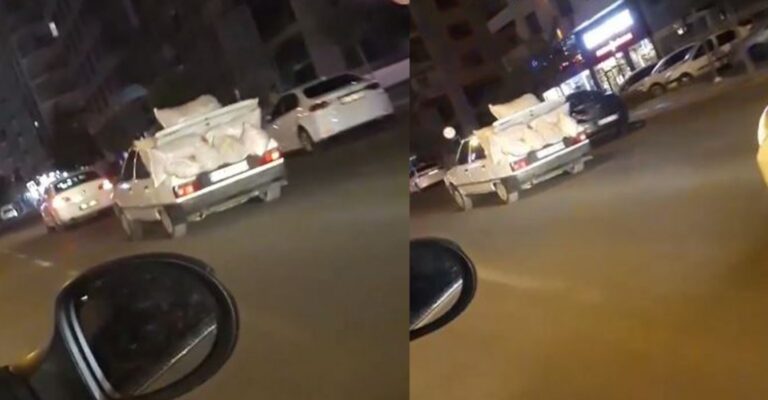 Urfalı’nın isot aşkı kamerada!