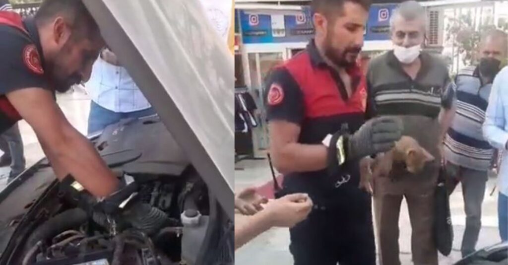 Şanlıurfa’da Yavru kediyi kurtarmak için itfaiye seferber oldu