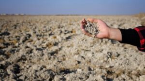 Şanlıurfa’da Kuraklıktan etkilenen çiftçilere destek verilecek