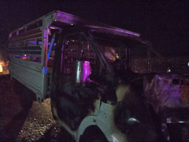 Şanlıurfa’da şarampole devrilen pikap alev aldı