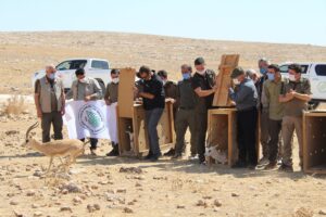 Şanlıurfa’da 5 ceylan doğaya bırakıldı