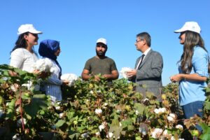 Ziraat mühendisleri sahaya indi, GAP’ta pamuk üretim maliyetleri azaldı