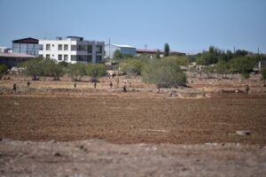 Şanlıurfa’da yurda yasa dışı yollarla giren 17 yabancı uyruklu yakalandı