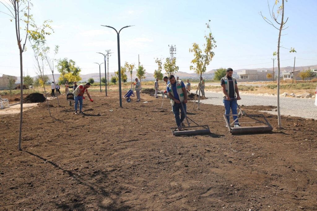 Haliliye’de yeşillendirme çalışmaları