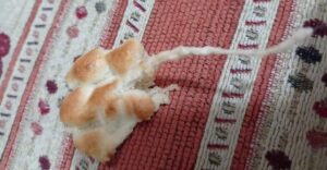 Urfa’da ekmeğin içinden iplik çıktı!