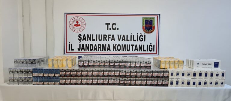 Şanlıurfa’da atık kartonlar arasında 2 bin 900 paket kaçak sigara ele geçirildi