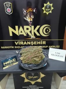 Şanlıurfa’daki uyuşturucu operasyonunda yakalanan 12 zanlı tutuklandı