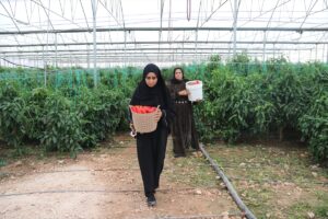 Şanlıurfalı kadın girişimci hayalini kurduğu serayla istihdam oluşturdu