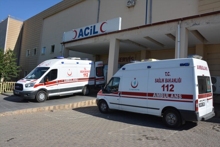 Şanlıurfa’da hafif ticari aracın çarptığı 2 kadın yaralandı