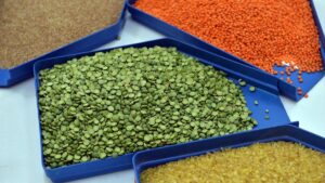 Türkiye’den 9 ayda 6,4 milyar dolarlık hububat ve bakliyat ihraç edildi