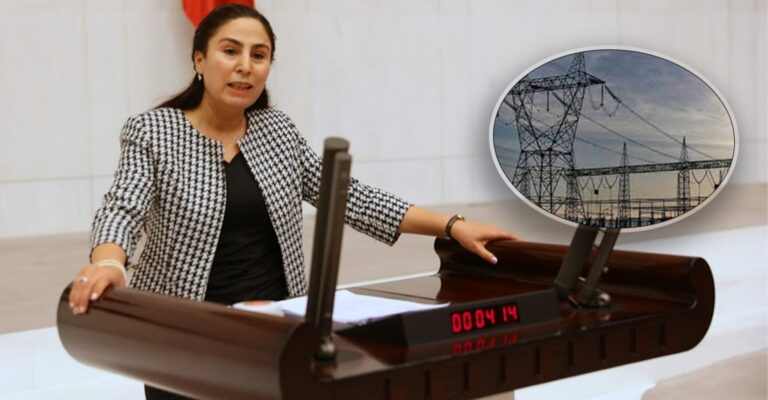 DEDAŞ Meclisin gündeminde!