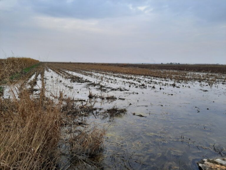 Harita mühendisi Suruç’taki taban suyuna dikkat çekti