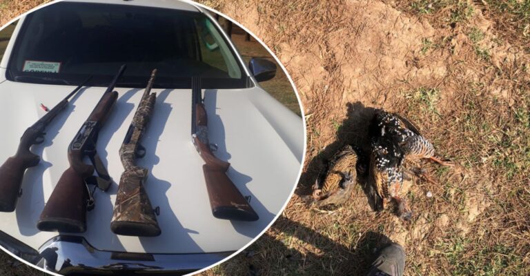 Şanlıurfa’da kaçak avcılar suçüstü yakalandı