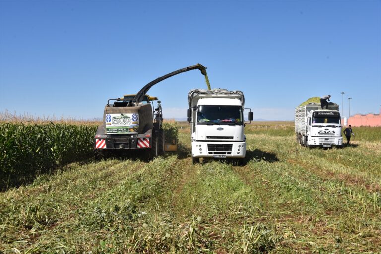 Şanlıurfa’da hükümlüler katıldıkları çiftçilik kursu ile meslek öğreniyor