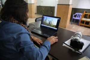 Karacadağ pirincinin tarladan sofraya uzanan serüveni belgesel film oldu