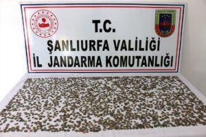 Şanlıurfa’da çeşitli dönemlere ait 2 bin 460 sikke ele geçirildi