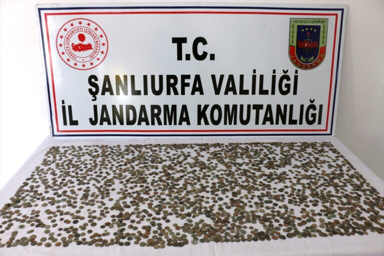 Şanlıurfa’da çeşitli dönemlere ait 2 bin 460 sikke ele geçirildi