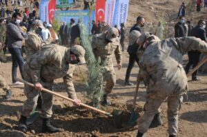 Güneydoğu’da binlerce fidan toprakla buluştu