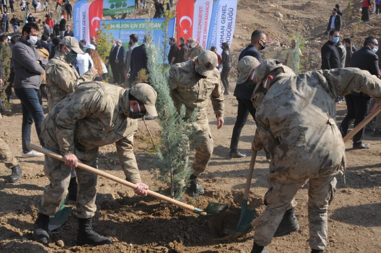 Güneydoğu’da binlerce fidan toprakla buluştu