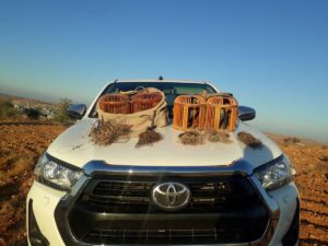 Şanlıurfa’da kaçak avlanan 2 kişi yakalandı