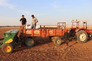 Şanlıurfa’da hububat tohumları toprakla buluşuyor
