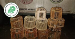 Urfa’da ele geçirildi! Tam 11 adet!