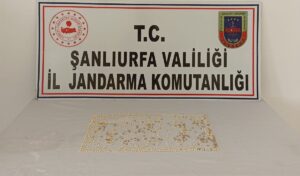 Şanlıurfa’da toprağa gömülü 1250 uyuşturucu hap ele geçirildi