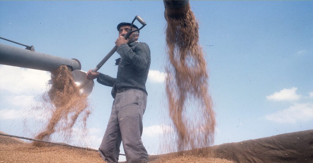 TMO Zammı Geri Çekti
