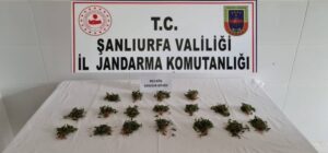 Şanlıurfa’da Jandarmadan silah kaçakçılarına operasyon!