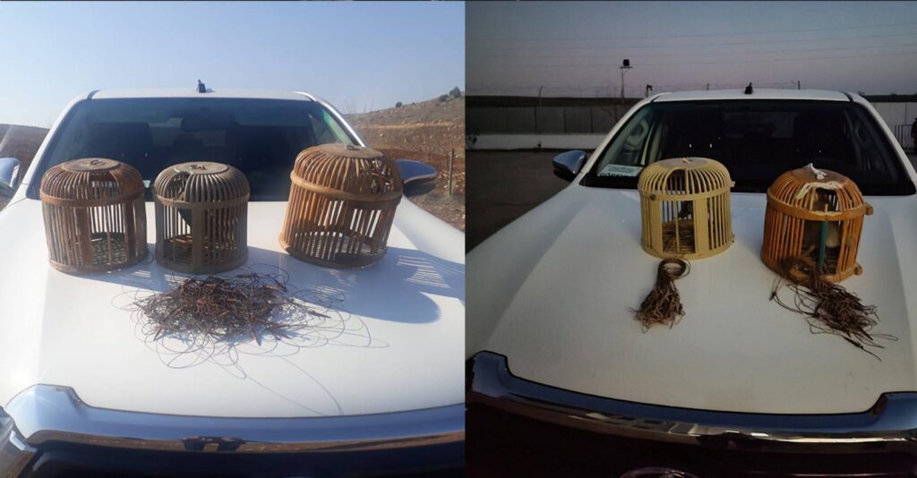 Urfa’da Kaçak avlananlara para cezası kesildi