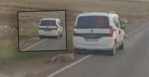 Urfa’da Koyunun içler acısı görüntüsü yürek burktu