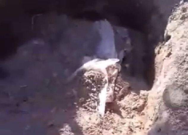 Şanlıurfa’da gizemli olay!