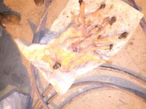 Şanlıurfa’da hayrete düşüren doğum!