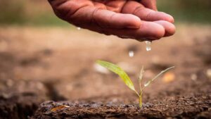 Tarımsal kuraklıkla mücadelede yeni yönetim oluşturuldu